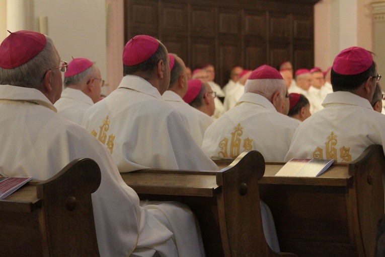 Episkopat w Płocku. Msza w kolegiacie