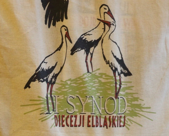 Synod Diecezji Elbląskiej - III sesja plenarna