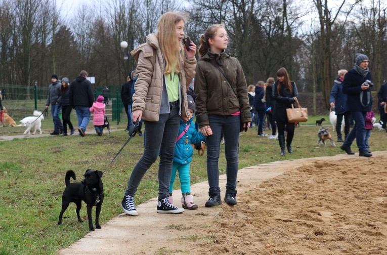 Park dla psów w Elblągu