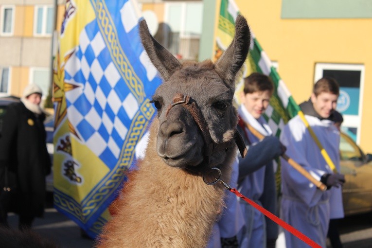 Orszak Trzech Króli w Gostyninie