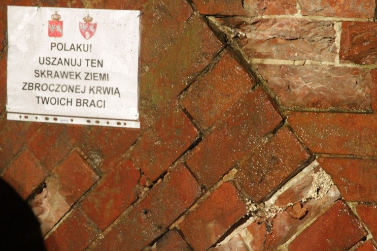 Modlin powstańcom styczniowym