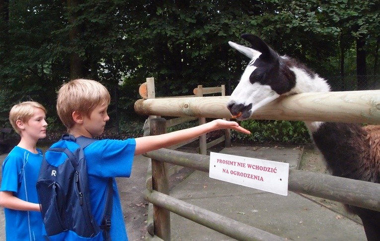 85 lat krakowskiego zoo