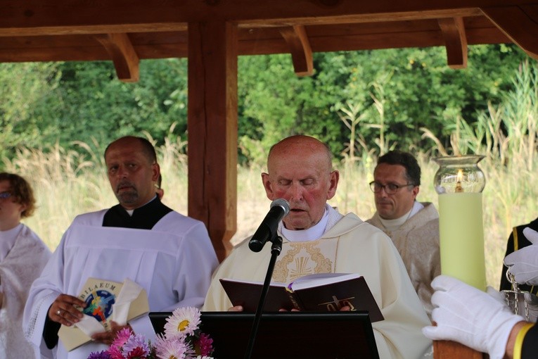 Dobrzyń nad Wisłą. Powitanie figury św. Jakuba