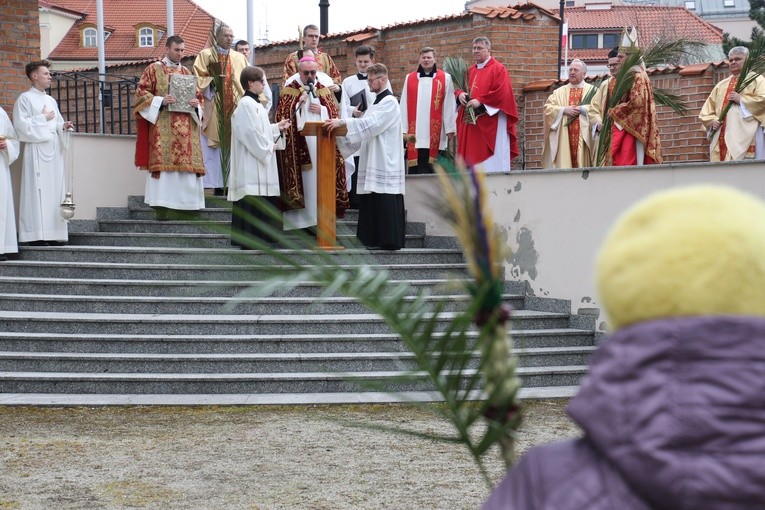 Płock. Niedziela Palmowa