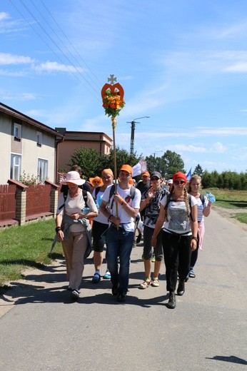 Grupa pomarańczowa