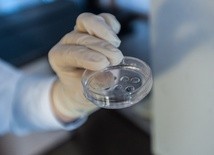 Projekt o in vitro wycofany